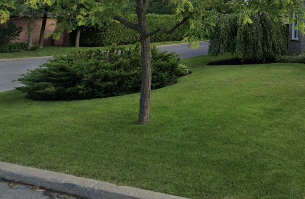 Pelouse verte à St-Hyacinthe