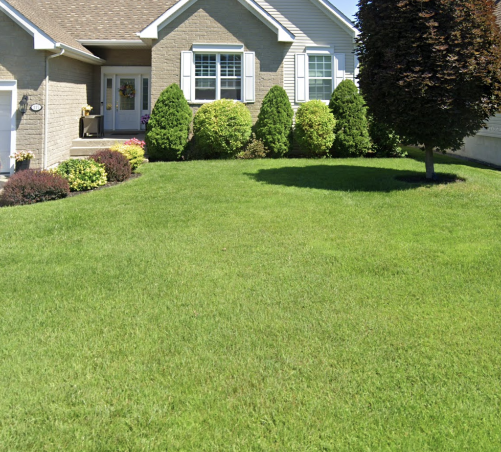 Pelouse verte à St-Jean-sur-Richelieu