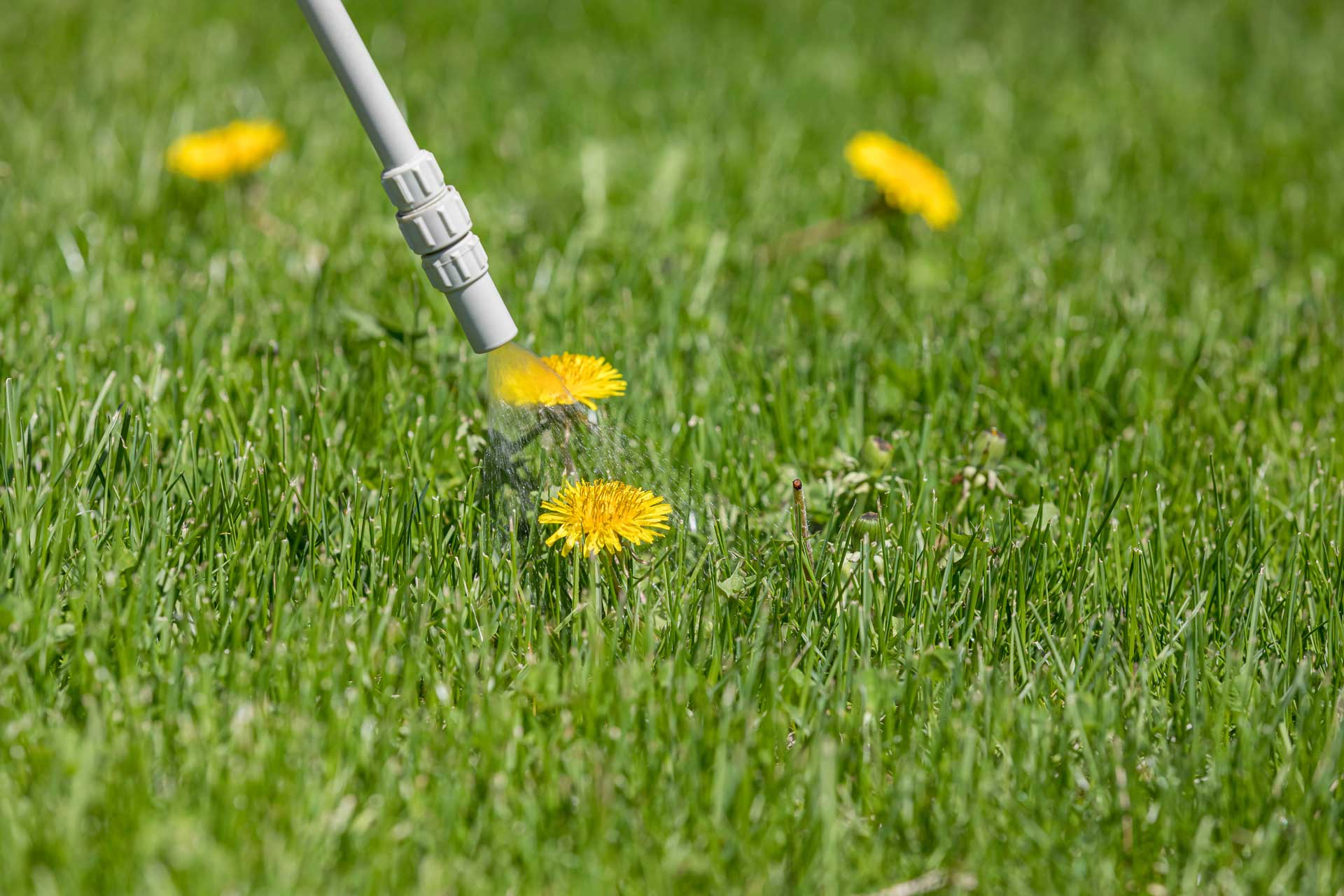 Customer Reviews For 3-Year Protection Plan For Lawn & Garden $200...